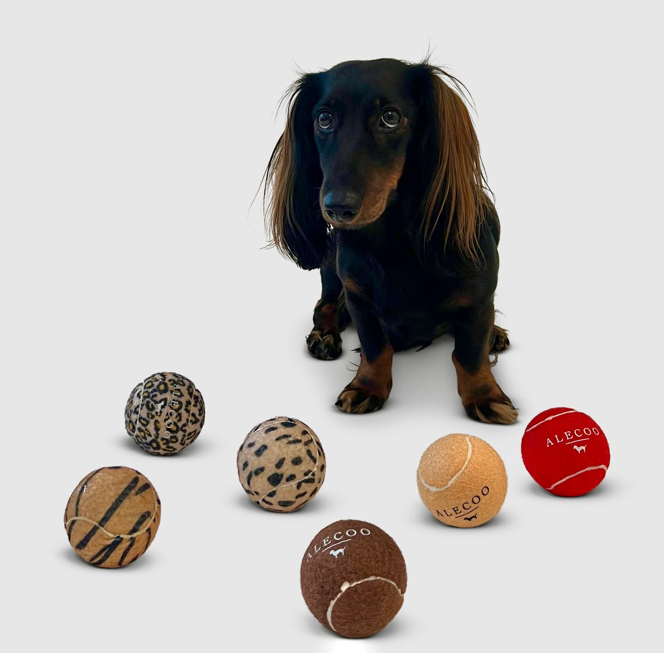 Hundespielzeugbälle Bundle - Winter