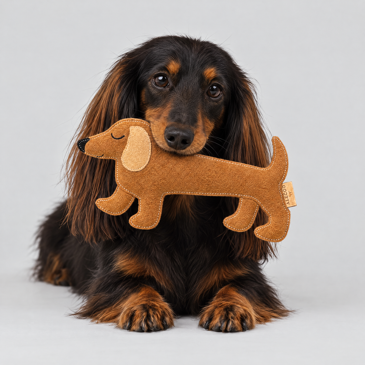 Cookie Dackel Hundespielzeug von ALECOO im Maul eines Dackels