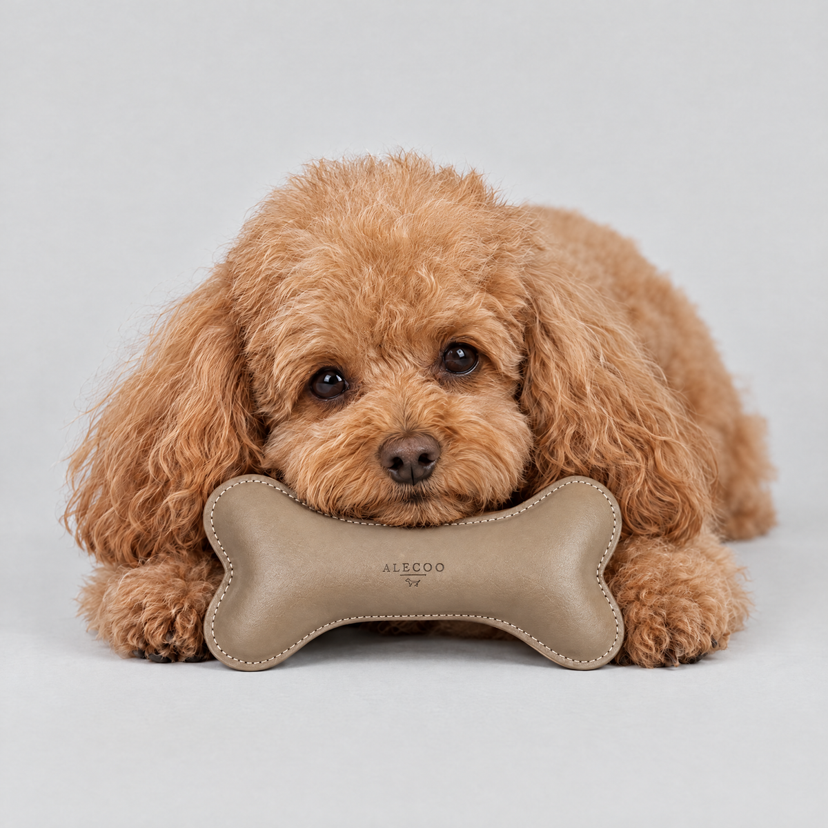 Hundeknochen Classy taupe von ALECOO mit Pudel