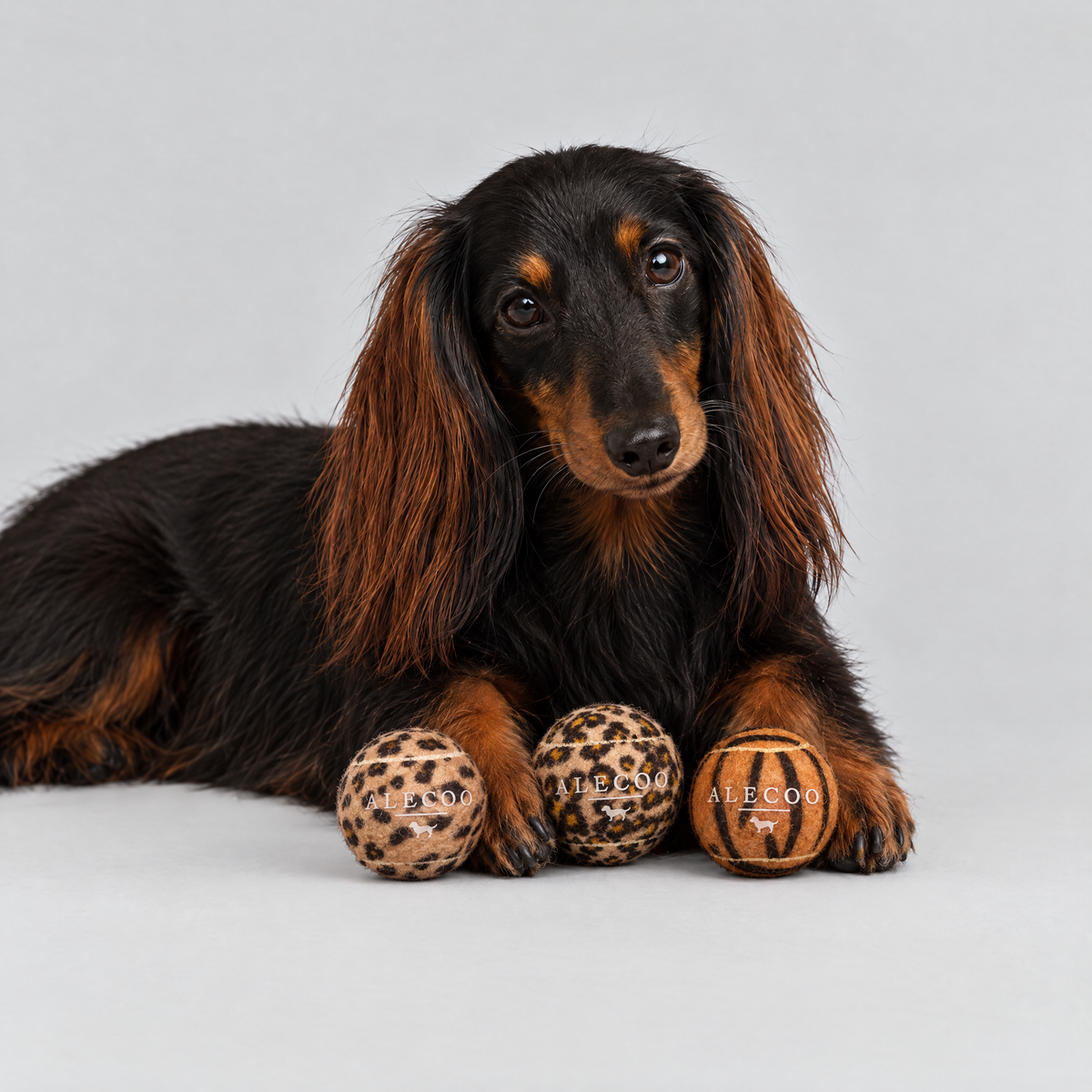Hundespielball Set Animal Print von ALECOO mit Dackel