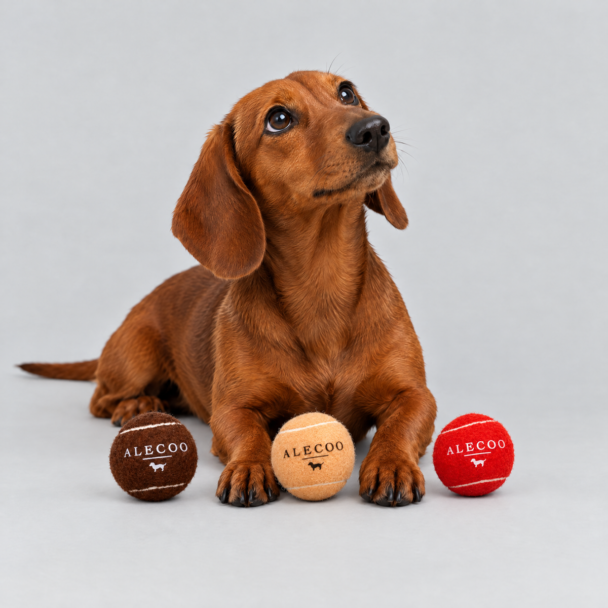 Hundespielball Set von ALECOO mit Dackel