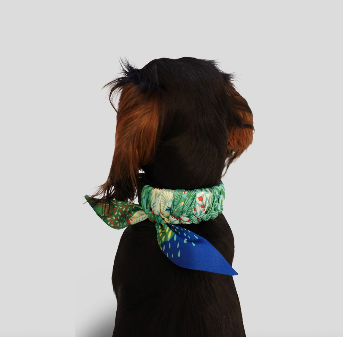 Dog collar Twilly Emerald Phantasia