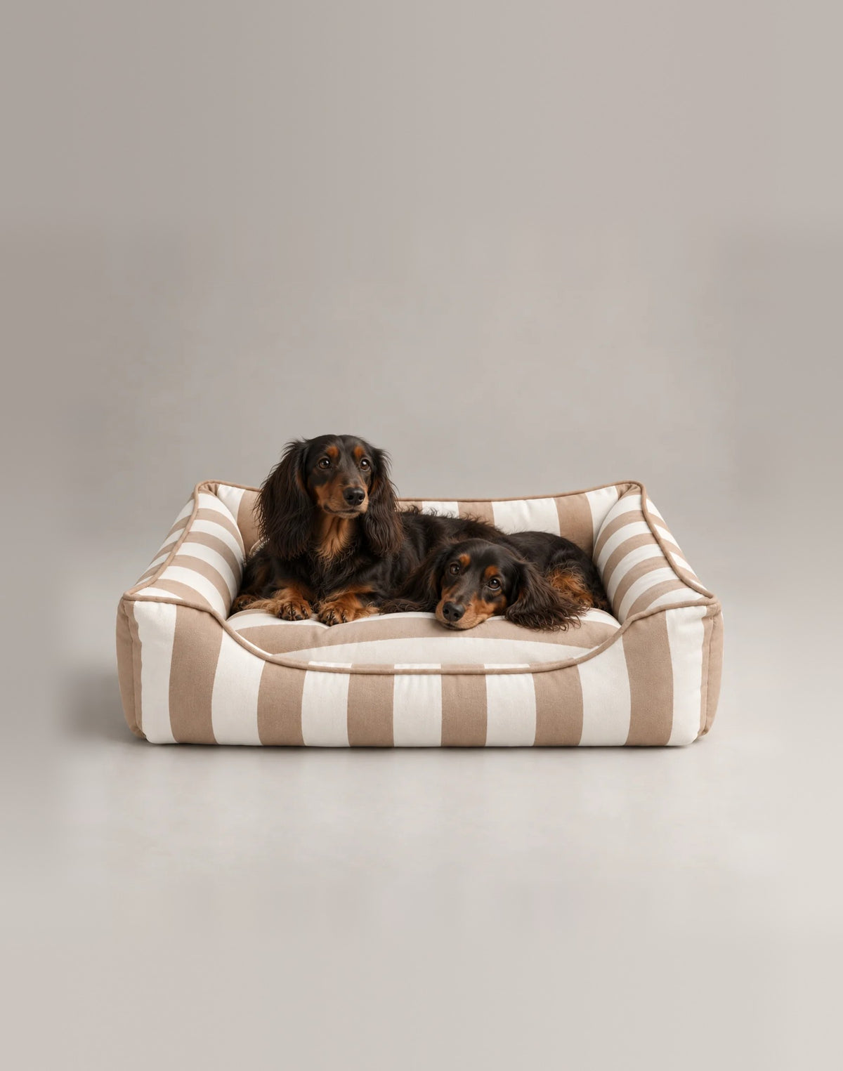 Zwei Dackel im Hundebett Stripes in Taupe